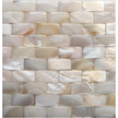 3D Natural Shell Brick